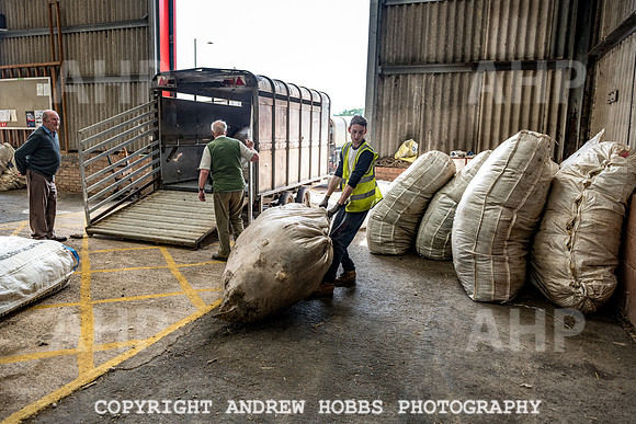 British Wool South Molton Mill - 2018_HOB_4188