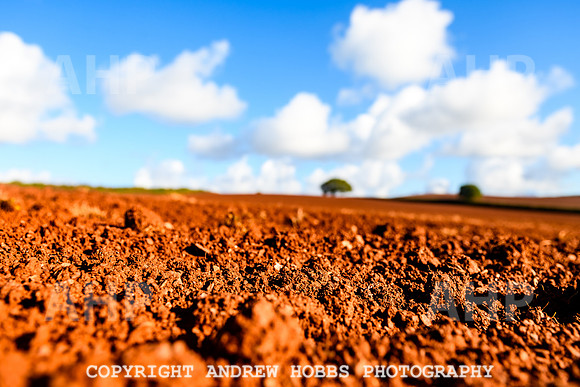 EM - Oct 2023 - soil-8948