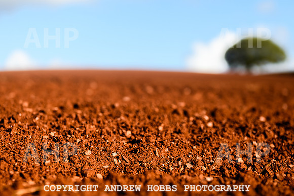 EM - Oct 2023 - soil-8949