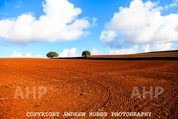EM - Oct 2023 - soil-8953