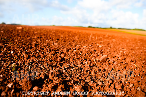 EM - Oct 2023 - soil-8963