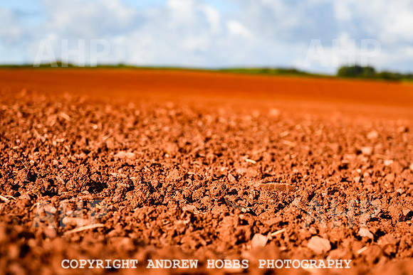 EM - Oct 2023 - soil-8964