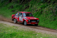 Somerset Stages Rally Chargot Woods_3327