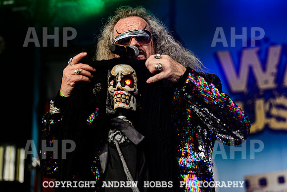 Dr and the Medics - Watchet Music Festival 2022-3018