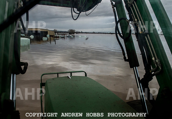 Family farm floods in Somerset, UK
