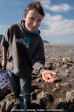 Somerset's Lowest Tide 200 years 042