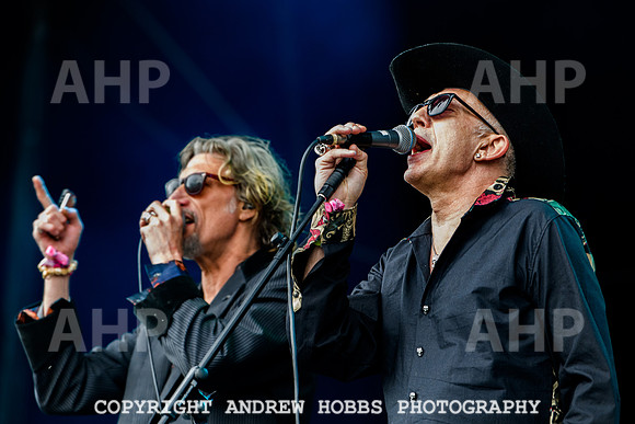 Alabama 3 -  Beautiful Days 2021-3542