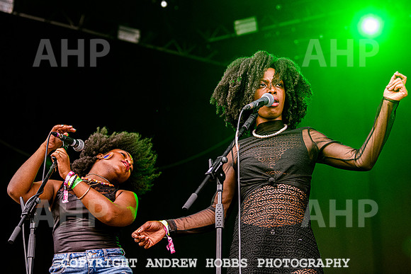Alabama 3 -  Beautiful Days 2021-3611
