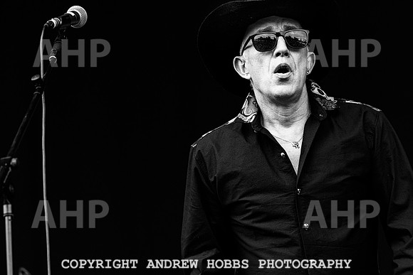 Alabama 3 -  Beautiful Days 2021-3346