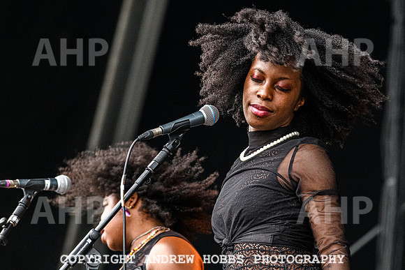 Alabama 3 -  Beautiful Days 2021-3355