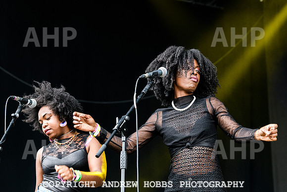 Alabama 3 -  Beautiful Days 2021-3381