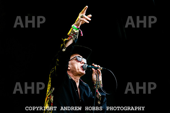 Alabama 3 -  Beautiful Days 2021-3406