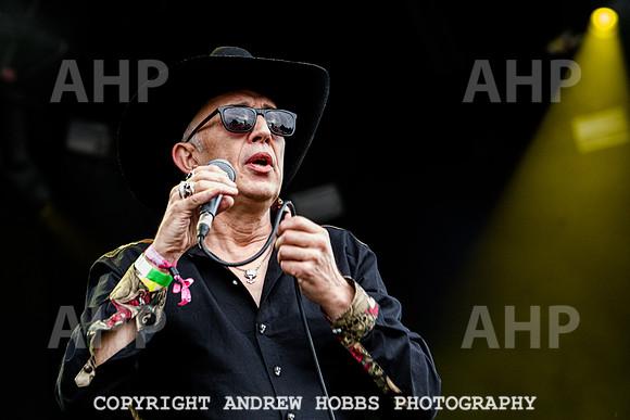 Alabama 3 -  Beautiful Days 2021-3448