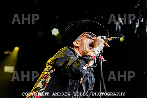 Alabama 3 -  Beautiful Days 2021-3473