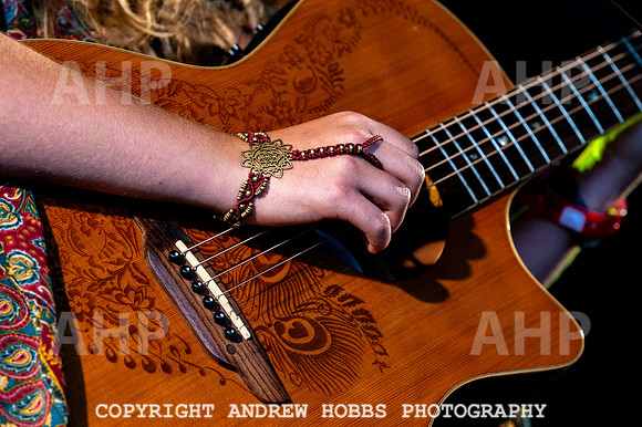 Chagstock Music Festival - 2018_AHP_3346