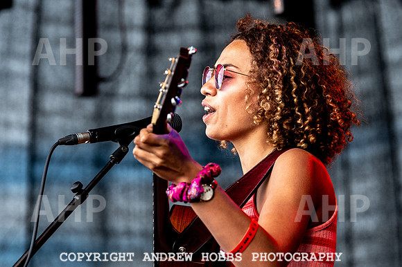 Chagstock Music Festival - 2018_AHP_3349