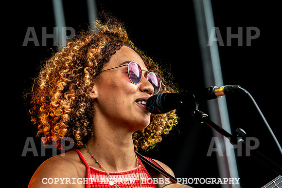 Chagstock Music Festival - 2018_AHP_3373