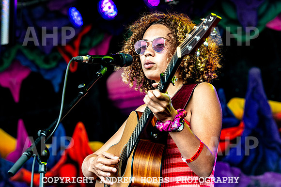 Chagstock Music Festival - 2018_AHP_3382