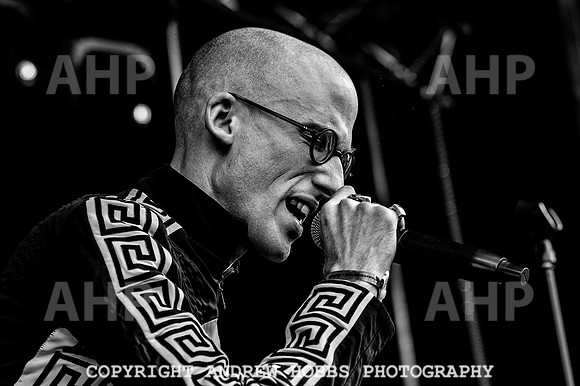 Chagstock Music Festival - 2018_AHP_3454