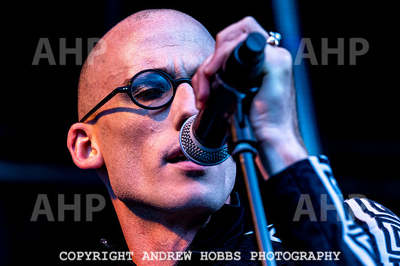 Chagstock Music Festival - 2018_AHP_3469
