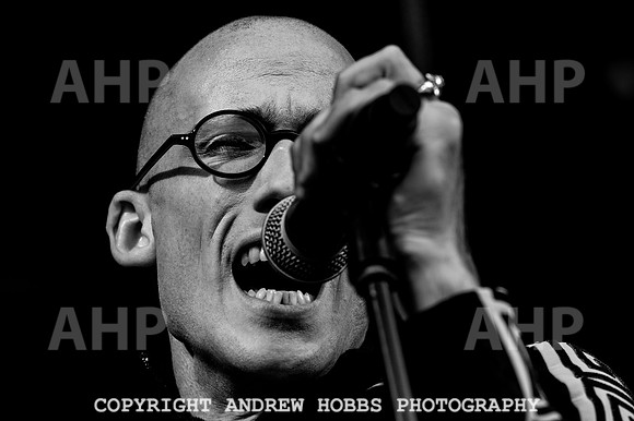 Chagstock Music Festival - 2018_AHP_3476