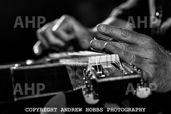 Chagstock Music Festival - 2018_AHP_3614