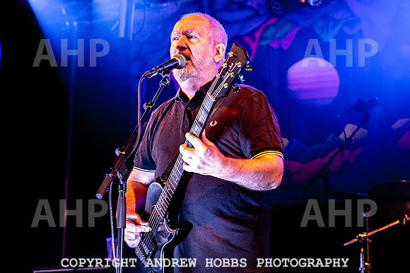 Chagstock Music Festival - 2018_AHP_3858