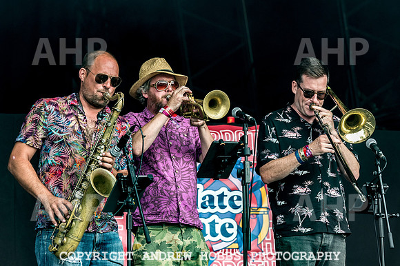Camp Bestival 2018 (3 of 24)