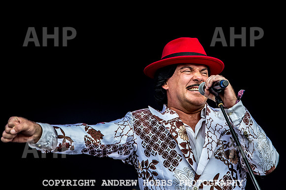 Camp Bestival 2018 (14 of 24)