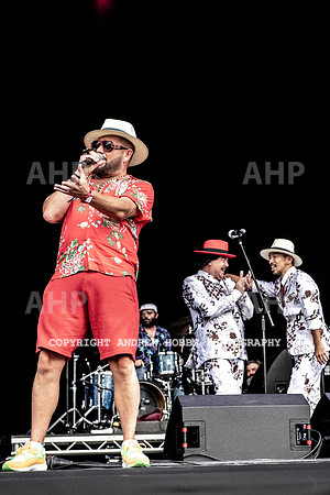 Camp Bestival 2018 (19 of 24)