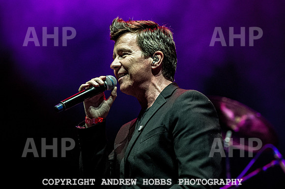 Camp Bestival 2018-5253