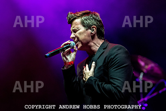 Camp Bestival 2018-5265
