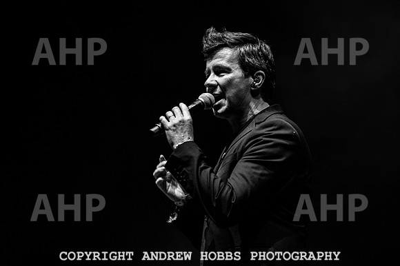 Camp Bestival 2018-5279