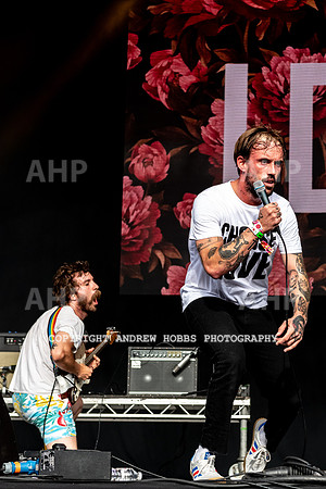 Bestival 2018-3603