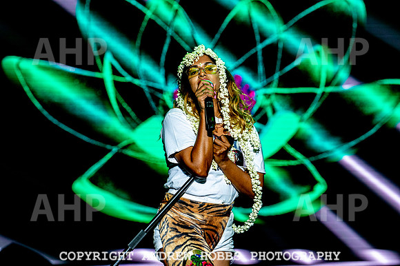 Bestival 2018_AHP_0181