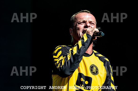 Bestival 2018_AHP_8996