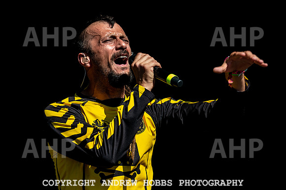 Bestival 2018_AHP_9058