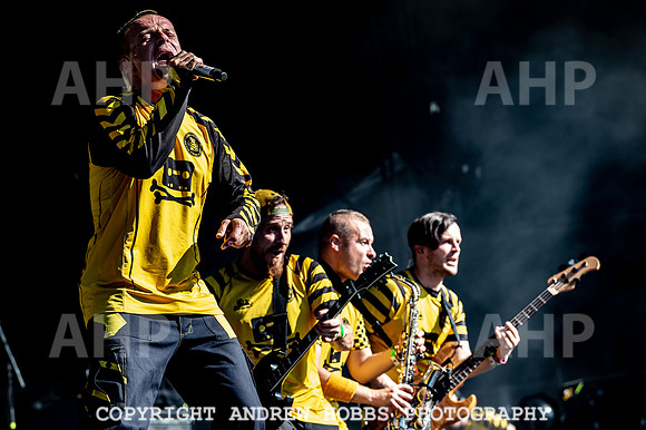 Bestival 2018_AHP_9155