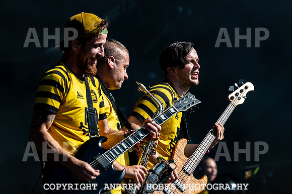 Bestival 2018_AHP_9165