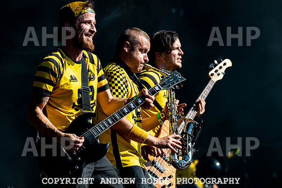 Bestival 2018_AHP_9162