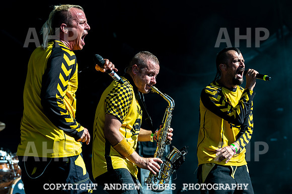 Bestival 2018_AHP_9206