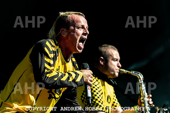 Bestival 2018_AHP_9202