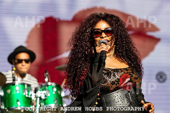 Bestival 2018_AHP_9252