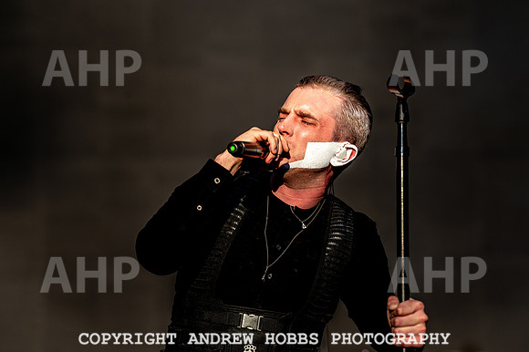 Bestival 2018_AHP_9688