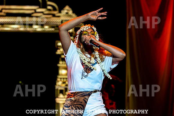 Bestival 2018_AHP_9980