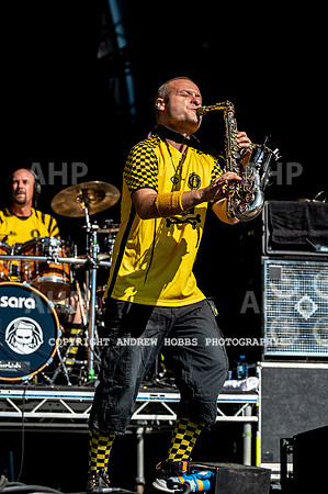 Bestival 2018_AHP_9011