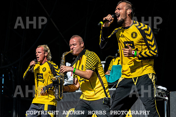 Bestival 2018_AHP_9044