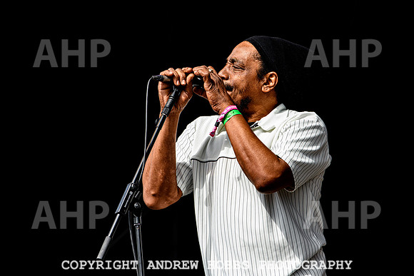 Dreadzone - Beautiful Days 2021-5202