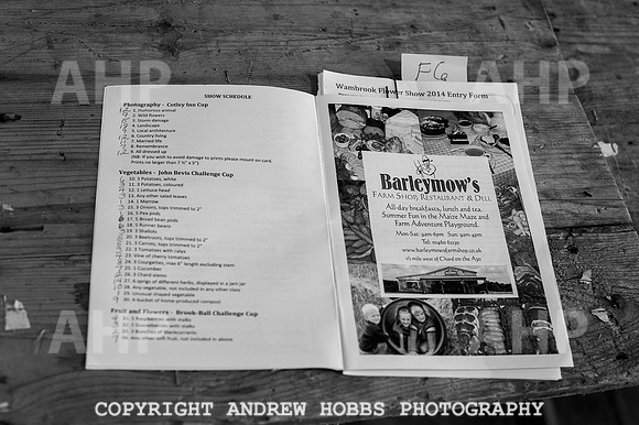 Wambrook Flower Show Centenary 017