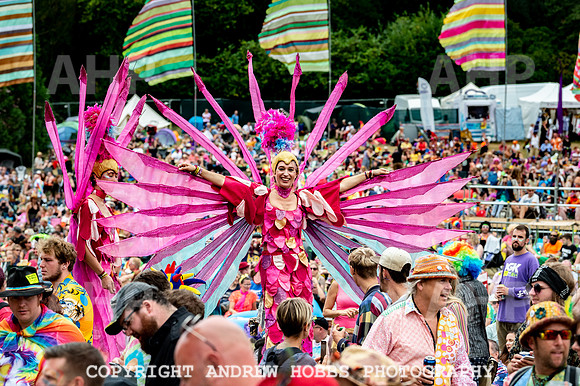 Beautiful Days 2018_AHP_7489